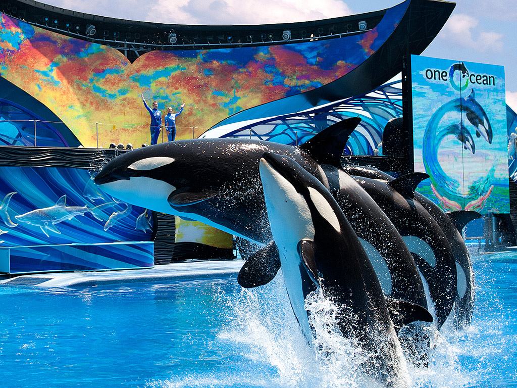 SeaWorld(R) Parks - Orlando - Florida