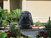 Sheikh Zayed Mosque and Falcon Hospital - Private