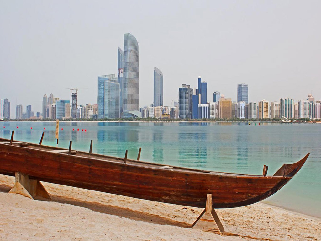 Sheikh Zayed Mosque and Falcon Hospital - Private Tour image 5