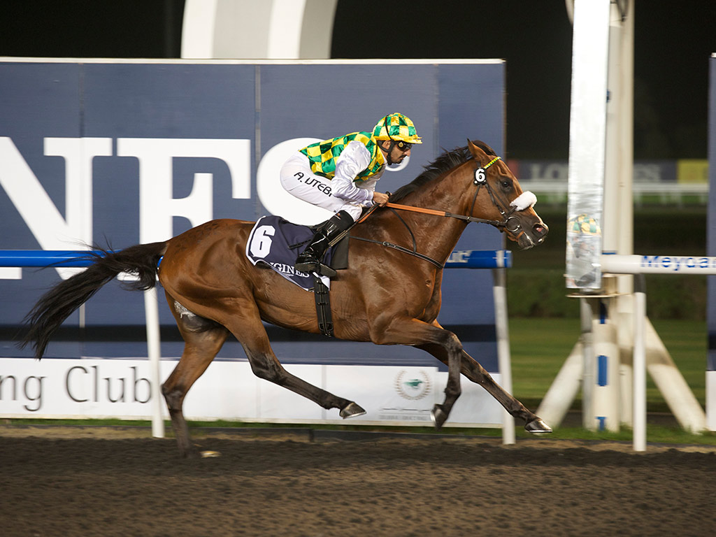 Racehorse Stable Tour with Breakfast at Meydan Racecourse