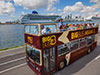 Special Discount Offer: Big Bus Miami Hop-on Hop-off Tour