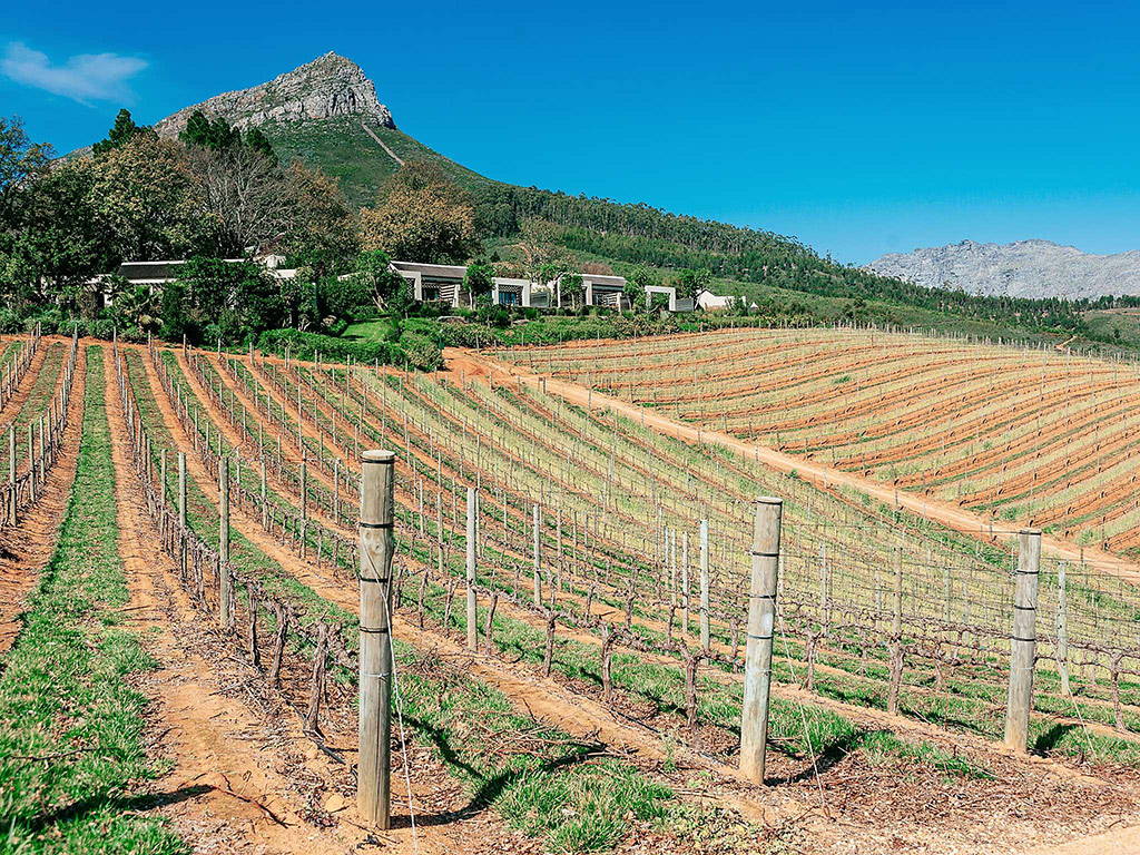 The Bekaa Valley Wineries