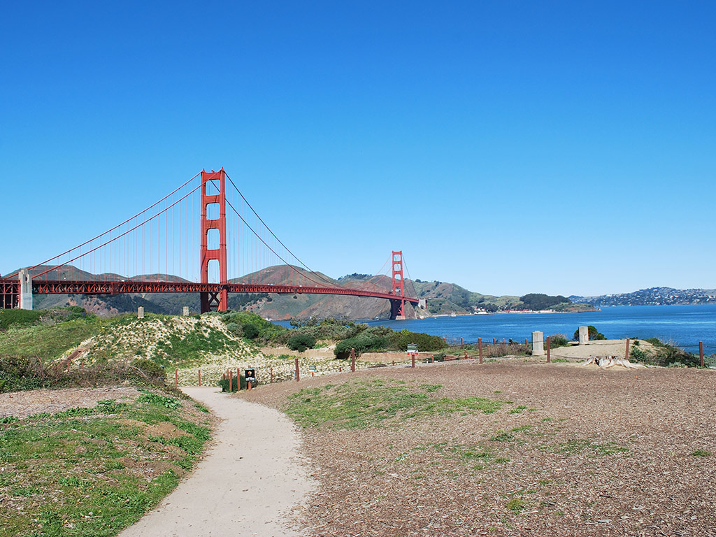 San Francisco City Tour and Muir Woods