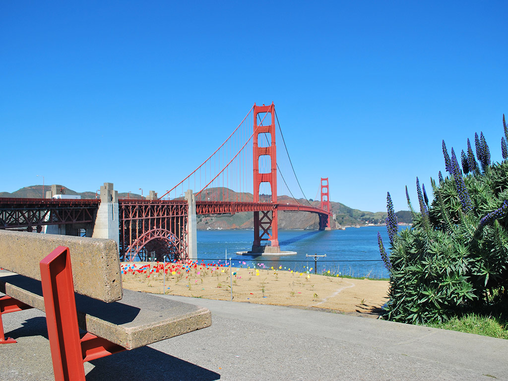 San Francisco City Tour and Muir Woods