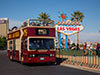 Special Discount Offer: Big Bus Las Vegas Hop-on Hop-off Tour
